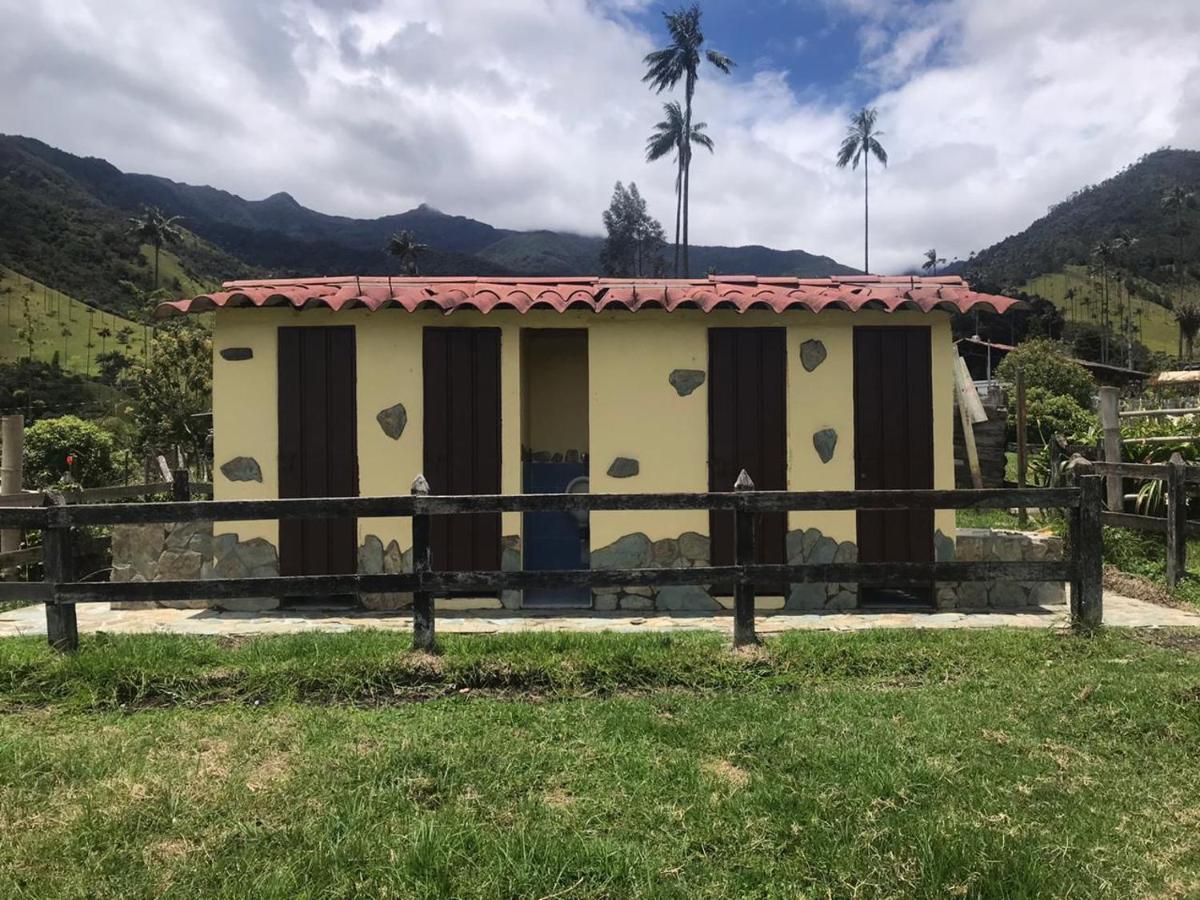 Refugio Nidos Del Condor Cocora Salento Buitenkant foto