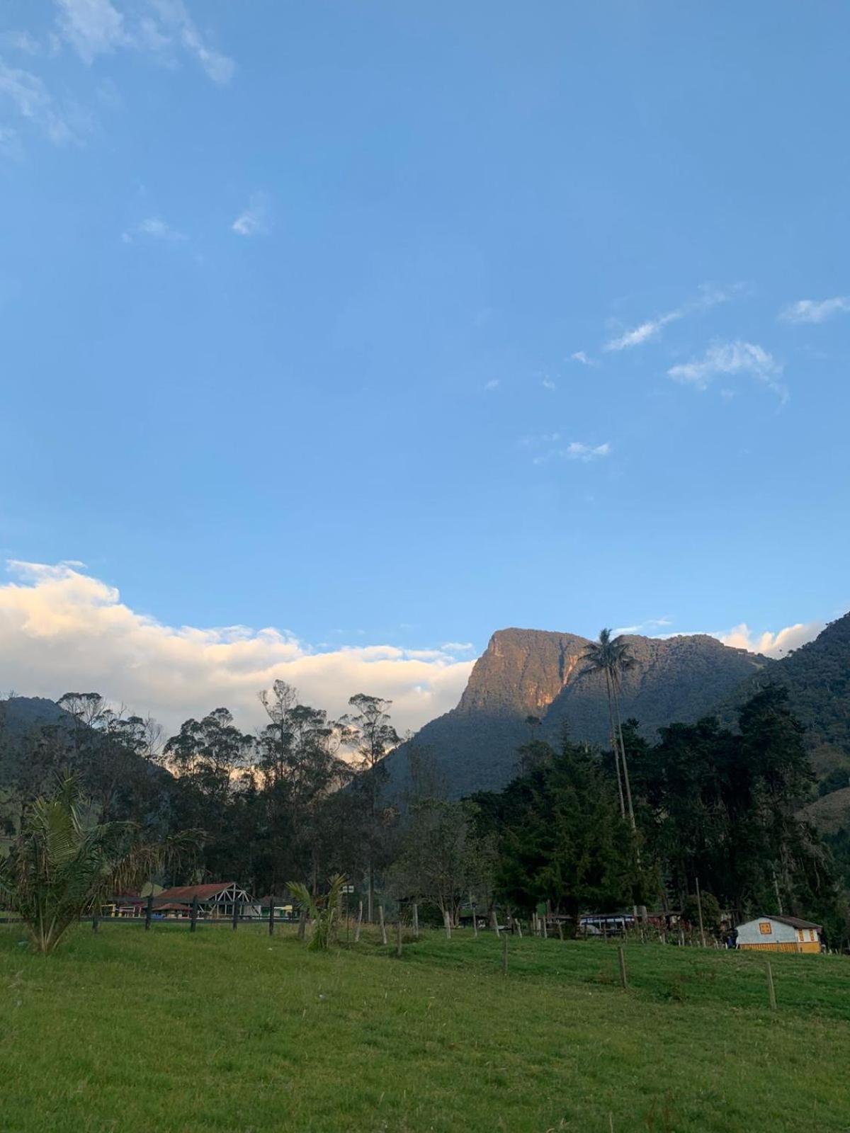 Refugio Nidos Del Condor Cocora Salento Buitenkant foto